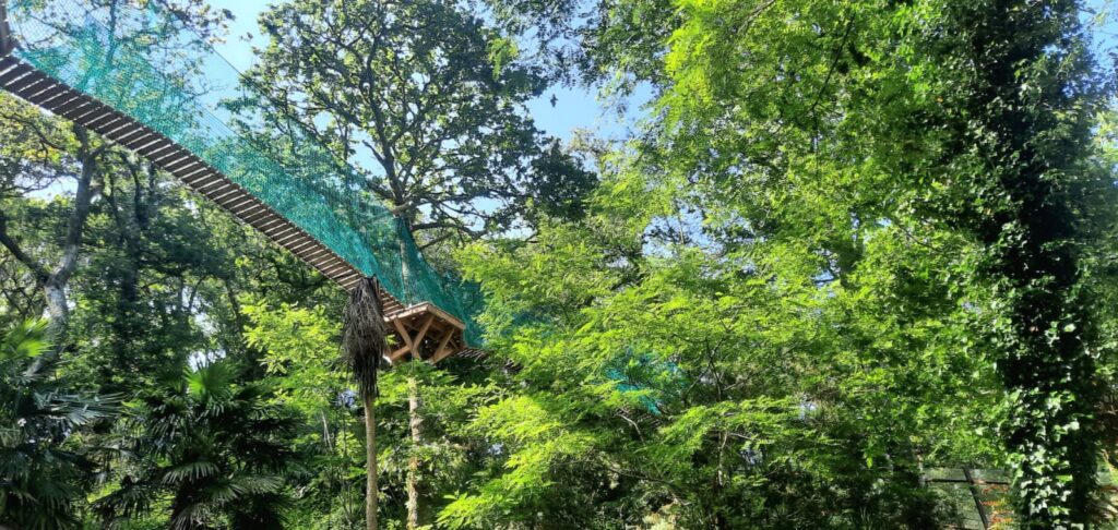 Chemins suspendus Forêt Adrénaline Construction